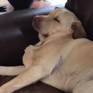 Meet your Posher, Barbara